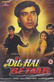 Dil Hai Betaab 1993 Hindi Movie AMZN WebRip 300mb 480p 1GB 720p 3GB 4GB 1080p