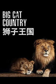 Big Cat Country постер