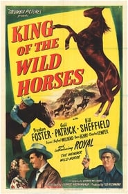 King of the Wild Horses постер
