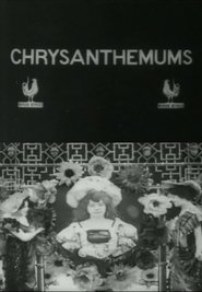 Poster Chrysanthemums 1907