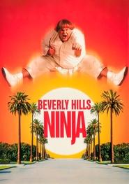 Beverly Hills Ninja poster