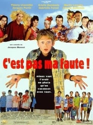 Affiche de Film C'est pas ma faute !