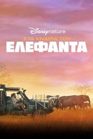 Στα Χνάρια του Ελέφαντα (2020)