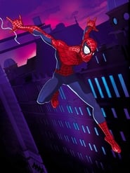 Spider-Man: The New Animated Series poster