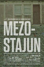 Poster Mezostajun 2018