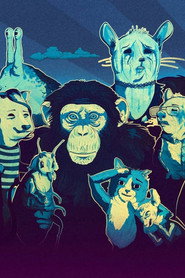 Animals. poster