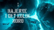 Ghosts of the Arctic - Greenland Shark