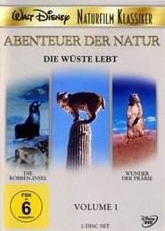 Poster Die Robbeninsel