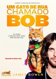 Um gato de rua chamado Bob movie poster player