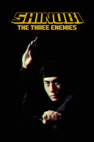 Shinobi no mono 8: The Three Enemies (1966)