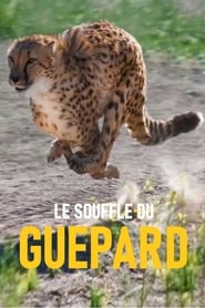 Le souffle du guépard streaming