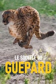 Poster Le souffle du guépard 2018