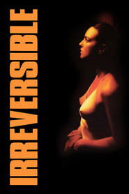 Voir Irréversible en streaming vf gratuit sur streamizseries.net site special Films streaming