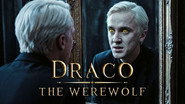 Was Draco Actually a Werewolf? Theory Explained