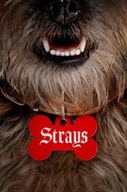 Strays (2023)