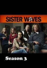 Sister Wives: Season 3