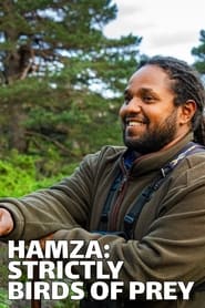 Poster Hamza: Strictly Birds of Prey