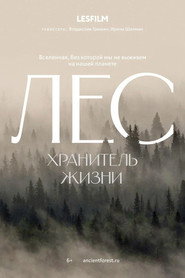 The Forest