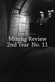 Poster Mining Review 2nd Year No. 11