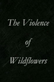 The Violence of Wildflowers