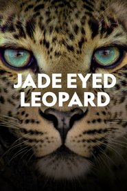 Jade Eyed Leopard