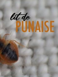 Poster The Bedbug 2019