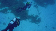 Fournoi & Ikaria