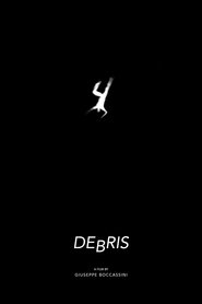 Poster Debris 2017