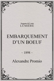 Embarquement d’un boeuf