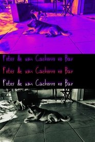 Pictures of a Dog at the Bar (2024)