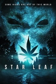 Star Leaf постер