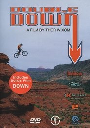 Poster Double Down 2001