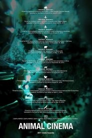 Poster Animal Cinema 2017 Poster Animal Cinema 2017