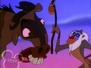 Timón y Pumba 2x12