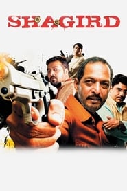 Shagird (2011) Hindi
