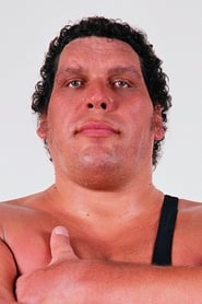 Image André the Giant
