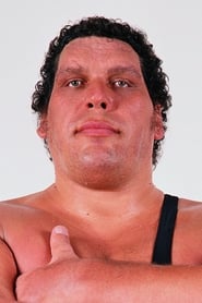 Andre the Giant headshot