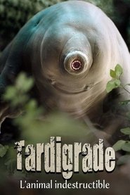 Tardigrade, l'animal indestructible (2025)