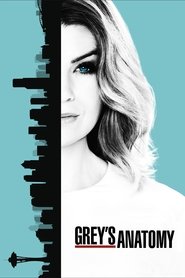 Grey’s Anatomy Grey’s Anatomy