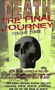 Poster Death The Final Journey Vol. 3 1998
