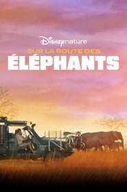 Film Sur la route des éléphants en streaming