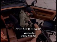 The Mild Bunch