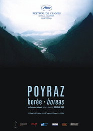 Poyraz