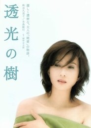透光の樹