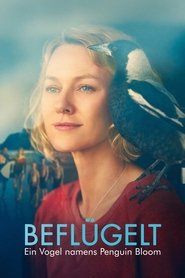 Poster Beflügelt – Ein Vogel namens Penguin Bloom