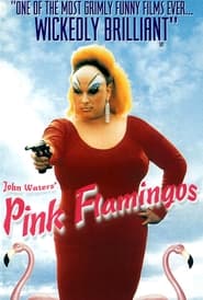 Pink Flamingos постер