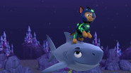 Paw Patrol: Patrulla de Cachorros - Episodio 24: Episodio 24