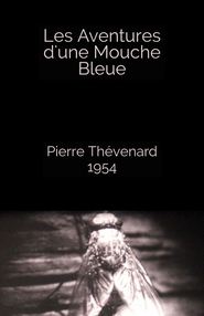 Poster Les Aventures d'une Mouche Bleue