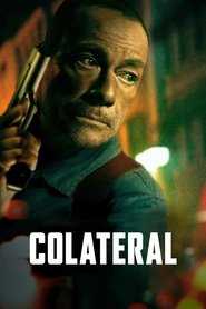 Imagen Colateral 2024