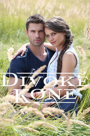 Divoké kone постер